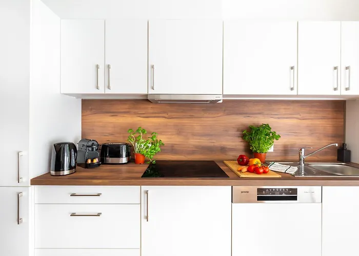 Lägenhetshotell Downtown Residences Vh - Ac, Elevator, Terrace 4*